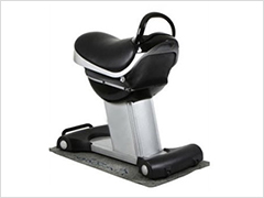 승마운동기구 사진